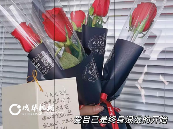 成华机械妇女节活动